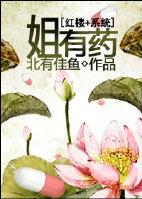 [红楼系统