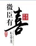 微臣有罪免费