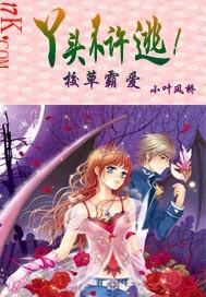 不许逃!小叶风桥