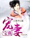 宠妻为宝