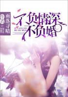不负情深不负婚免费阅读全文