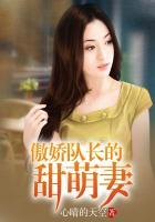 傲娇队长妻免费阅读