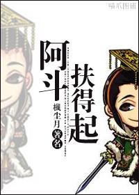 阿斗扶得起攻是谁