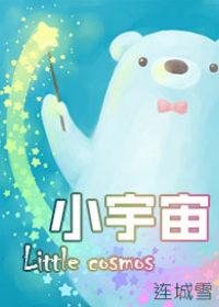 小宇宙审核需要多久
