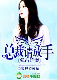 强占新妻总裁别碰我txt