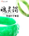 魂灵镯全文免费阅读