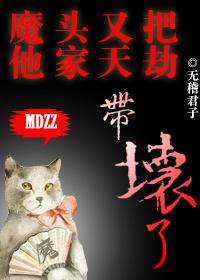 魔头又把他家天劫带坏了免费阅读