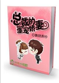总裁的妻子全文阅读