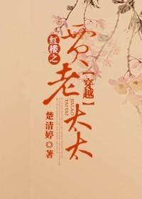 穿越红楼之贾老太太百度