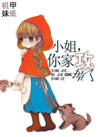 小姐你家攻掉了免费阅读