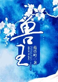 兽王皮衣属于什么档次