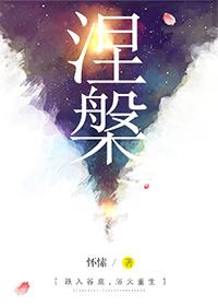 涅槃下一个境界