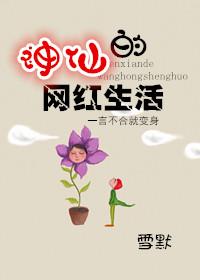 网络上的神仙句子