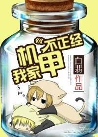 我家机甲不正经讲的什么