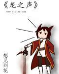 龙之声音响有限公司