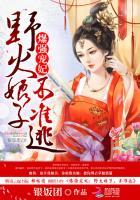 爆强宠妃:野火娘子不准逃