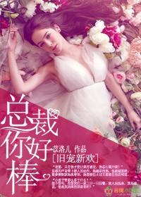 旧欢新宠,总裁,你好棒!